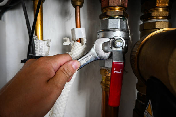 Best Plumbing Services Near Me  in Randallstown, MD